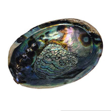 Charger l'image dans la galerie, shell_sage_sauge_salbei_abalone_muschel_smudge_bowl_schale
