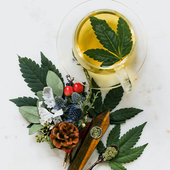 CBD-Tea_cbd-tee_the-cbd_hemp_cannabis_luxembourg_hanf_Luxemburg_lux