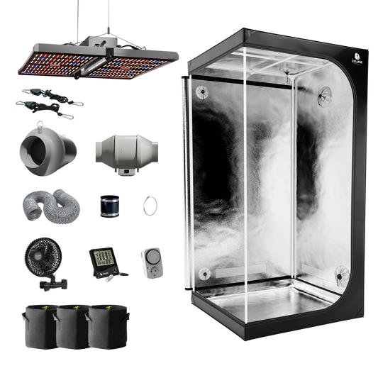 Legal Lord L 100x100x200 320W LED Growbox Komplettset Zeltset