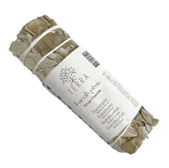 salbei_sage_sauge_salvia_eukalyptus_eucalipto_eucalyptus_smudge_raeuchern_luxemburg_luxembourg