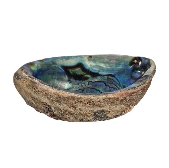 shell_sage_sauge_salbei_abalone_muschel_smudge_bowl_schale